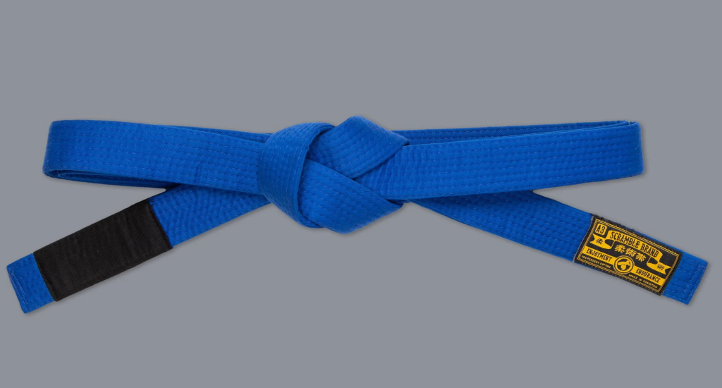 BJJ Blue Belt Guide: What Changes After White Belt