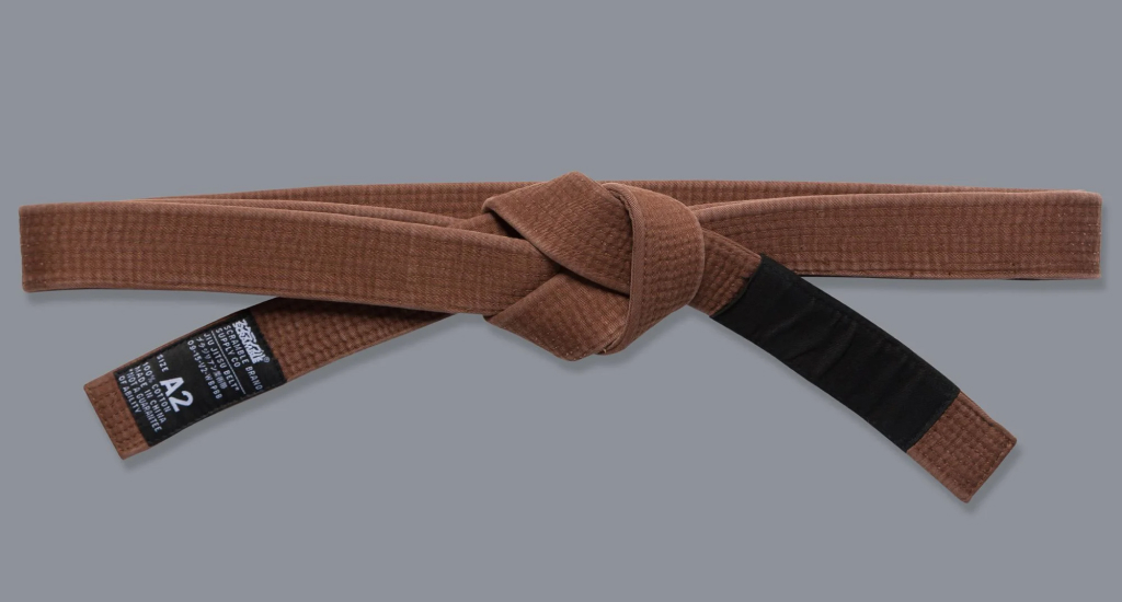 BJJ Brown Belt Guide: The Final Stretch Before Black