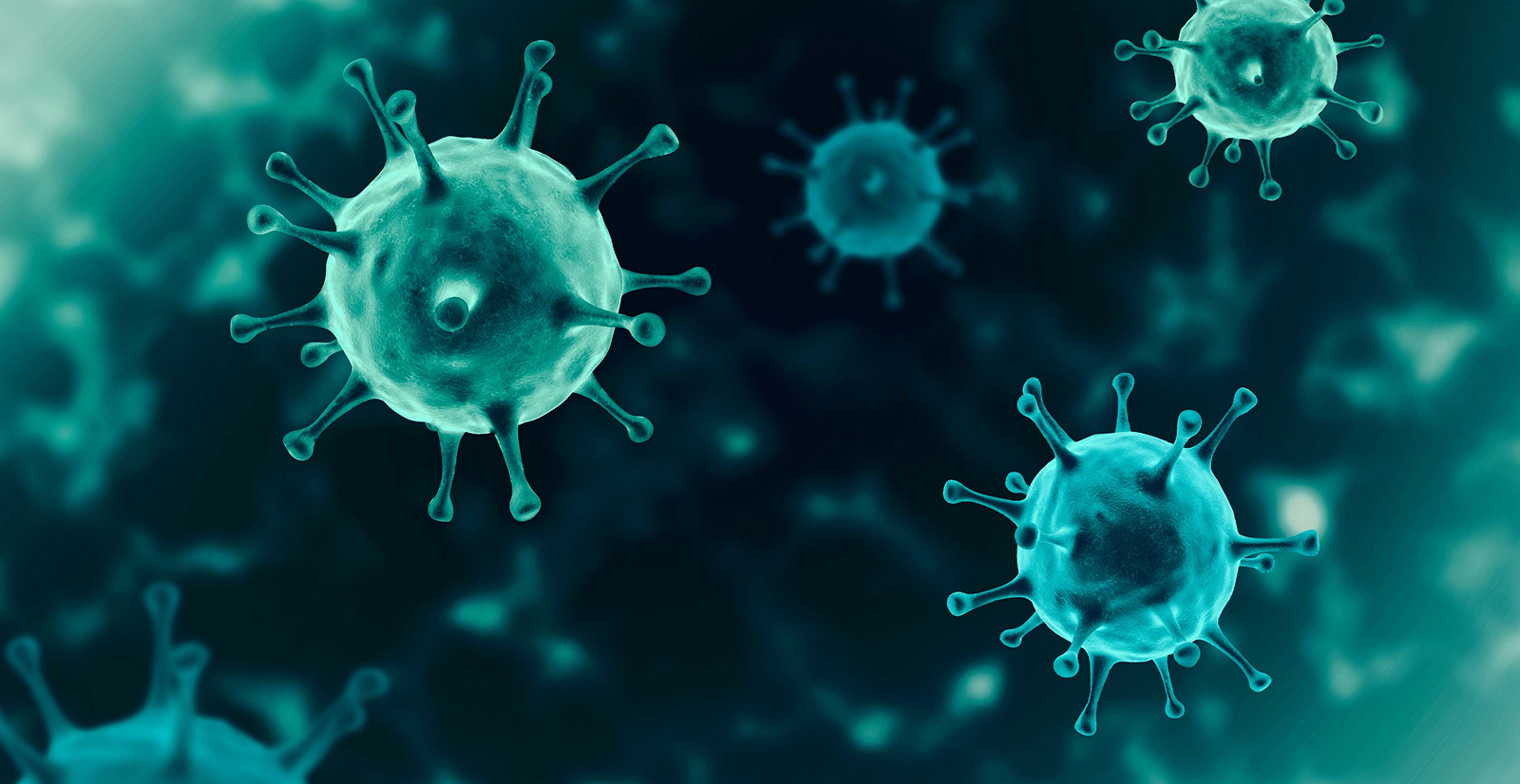 Preventing Ringworm and Staph in BJJ: A Hygiene Guide